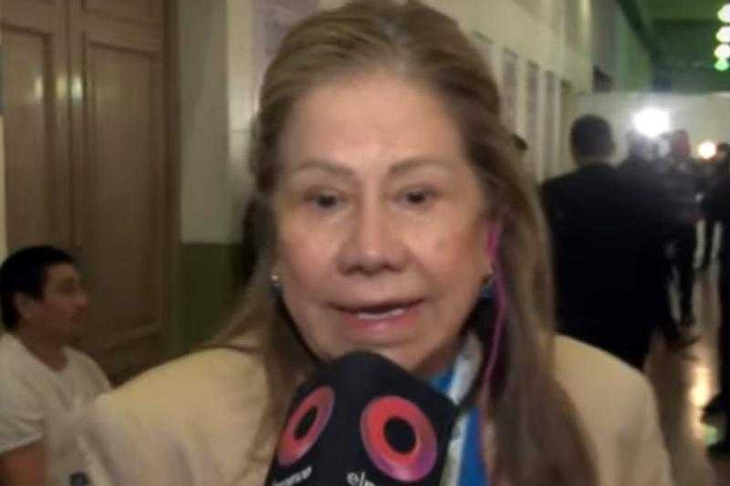 Graciela Camaño dijo que Massa “no se corrió un ápice” de 2015: “Elíjanlo, y en una de esas les da la sorpresa y saca a los ñoquis de La Cámpora”