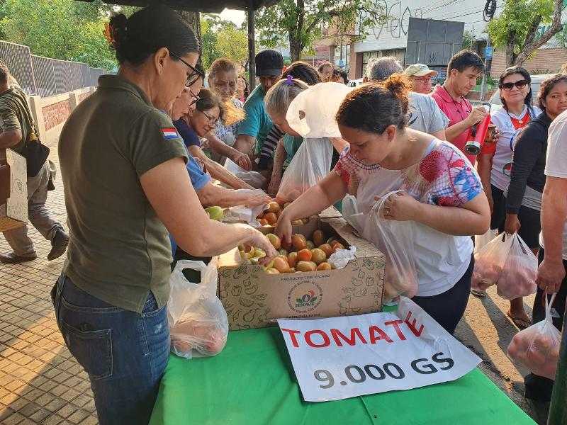 Призыв увеличить количество томатных ярмарок: они считают, что это позволит регулировать скачки цен