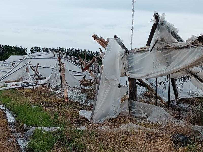 Прекращение чрезвычайных ситуаций в сельском хозяйстве: это исключения, по данным Министерства животноводства.