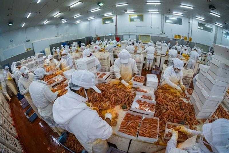 Рыбная промышленность выбросила 700 тонн морепродуктов, а убытки из-за профсоюзного конфликта оцениваются в 1,2 миллиона долларов США.