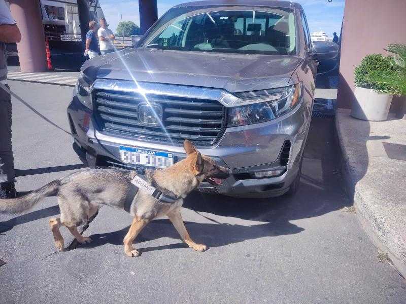 Уругваец задержан в Аргентине за перевозку незадекларированных золотых монет стоимостью 60 000 долларов США