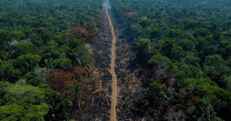 "It's not just deforestation": why the Peruvian Amazon is approaching a