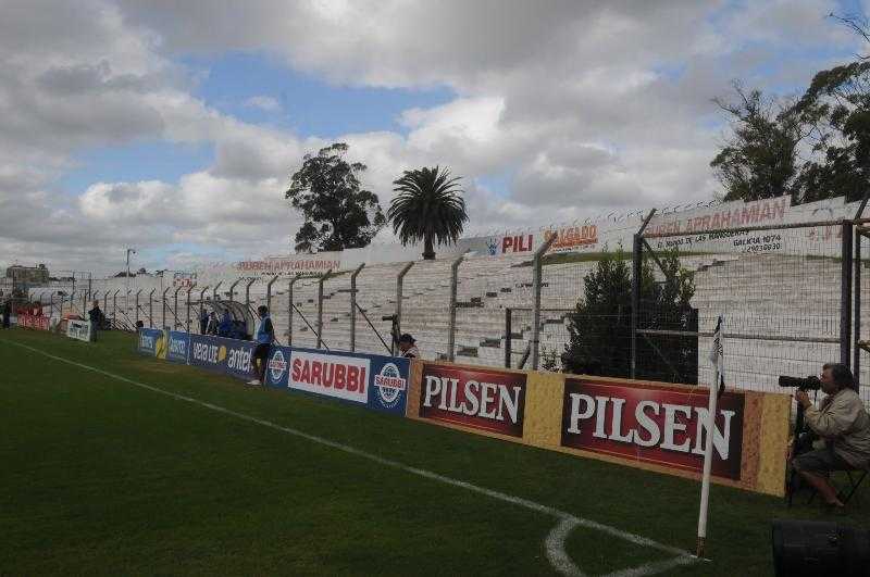 "Неважно, какой ценой": Danubio хочет спасти пальму в Jardines del Hipódromo, пострадавшую от красного пальмового долгоносика