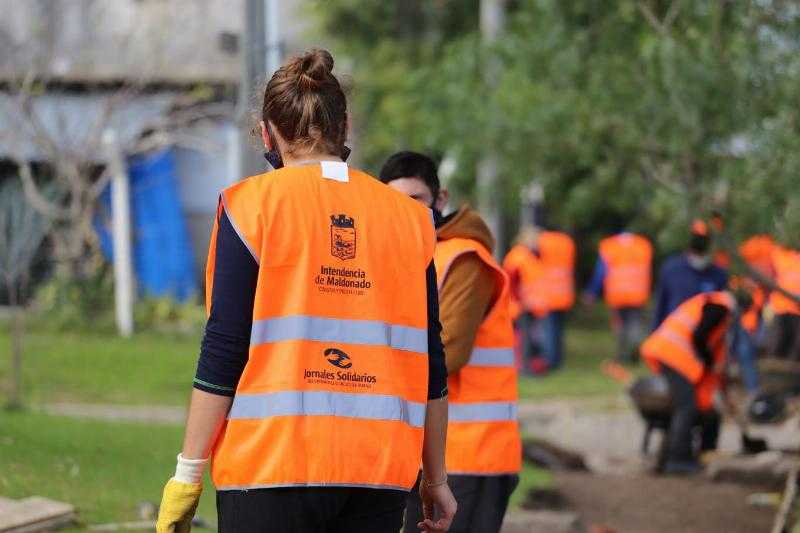 День солидарности возвращается: люди в возрасте от 18 до 65 лет могут подавать заявки с понедельника