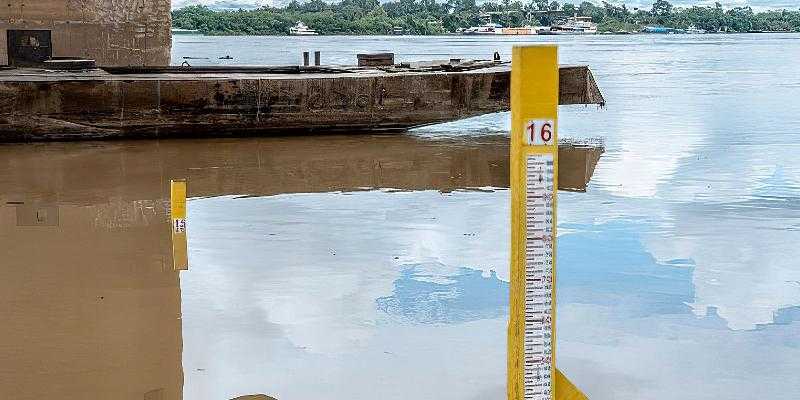 Система агролесоводства помогает уменьшить последствия засухи в Амазонии