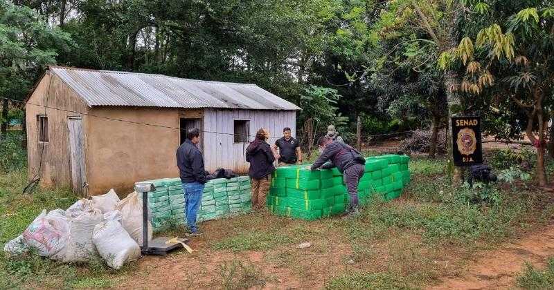 В зоне влияния Мачо изъято 4 тонны наркотиков