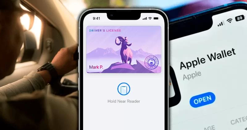 5 штатов, в которых можно добавить водительское удостоверение в Apple Wallet в США