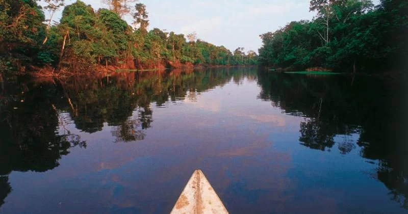 Водный кризис в Лорето: губернатор просит объявить чрезвычайную ситуацию на 60 дней из-за засухи в реках Амазонки