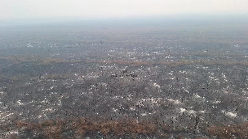 Исторический штраф в размере более 2 000 миллионов гривен, наложенный за пожар в Ховореке