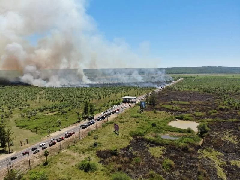 Более 600 очагов и 60 действующих пожаров зарегистрировано в первые дни года