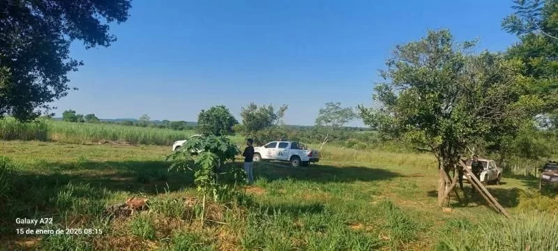 После 7 дней поисков бразильскую женщину нашли заблудившейся в буше