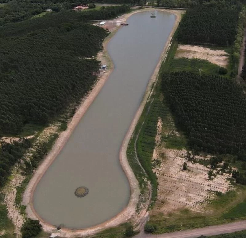 Водные лыжи высокого уровня на озере Манене