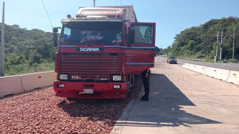 У грузовика отказали тормоза, и водитель воспользовался тормозной рампой.