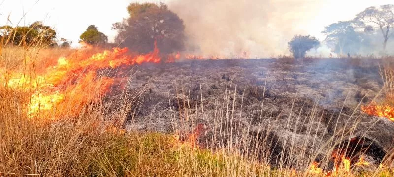 Один человек погиб в результате пожара на пастбище в сельской местности