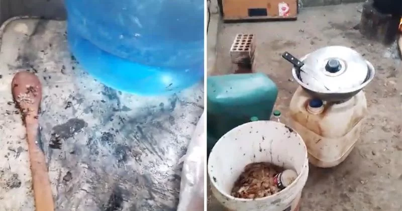 Без воды и среди насекомых: ужасающие условия на армейской базе в Сан-Бартоло