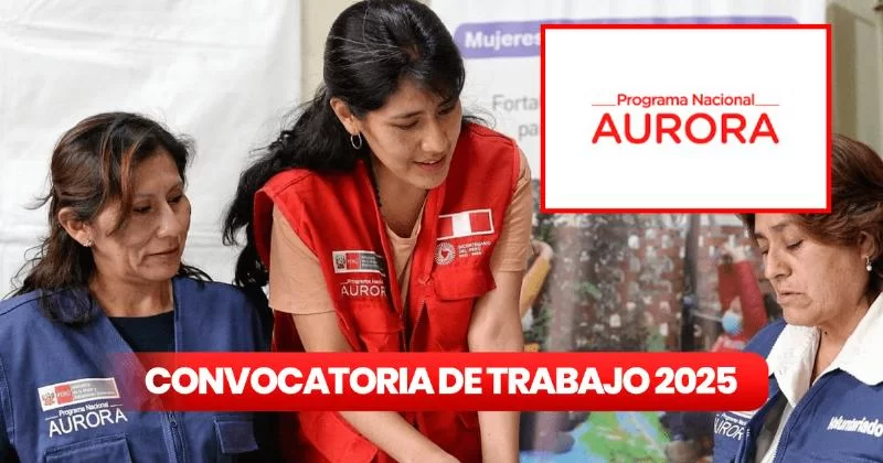 Aurora Programme предлагает вакансии CAS с зарплатой до S 8 000 в Арекипе, Кальяо, Лиме и других регионах: ссылка для подачи заявки