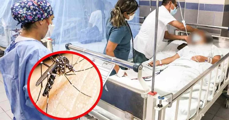 Денге в Перу: страна занимает четвертое место в Южной Америке по числу случаев заболевания и может ухудшиться после дождей