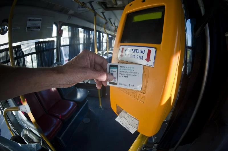 STM: Когда можно будет получить бесплатный студенческий билет в Монтевидео?