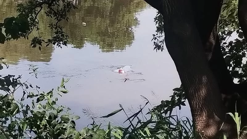 Один из водителей потерял управление, упал в Риачуэло и смог выбраться до того, как машина затонула.