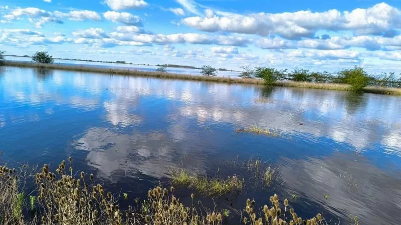 «Взорвано все": одиссея в трех районах Буэнос-Айреса, где под водой оказалось более 240 000 гектаров